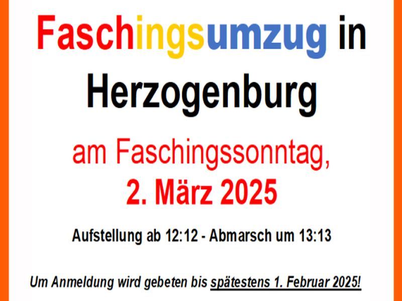 va_Faschingsumzug_Bild_2025-03-02.jpg